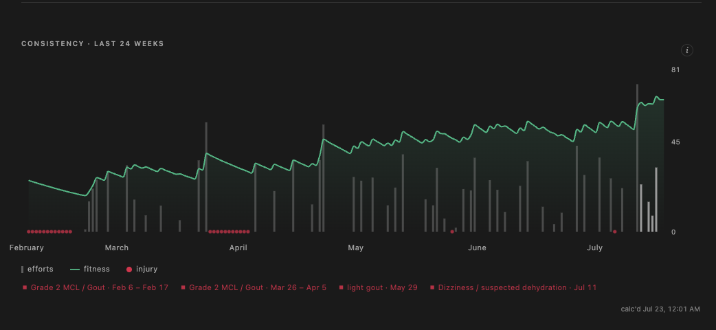 RideTool consistency chart: 24 weeks of effort bars with a rising fitness line